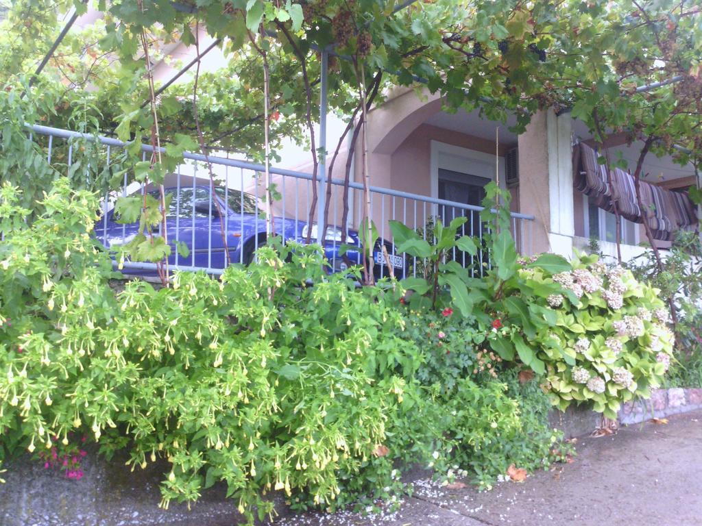 Apartments Mitrovic Podlicak Sveti Stefan Extérieur photo